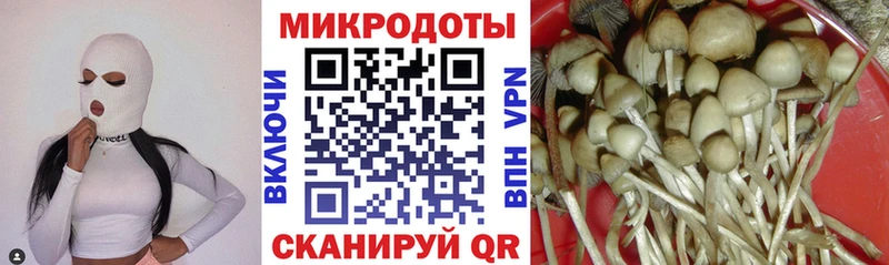 blacksprut сайт наркотики Ефремов Псилоцибиновые грибы Cubensis