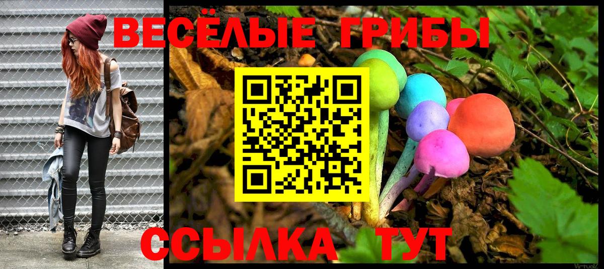 Галлюциногенные грибы Magic Shrooms  Вход с VPN  закладка  Ефремов  Псилоцибиновые грибы мухоморы 